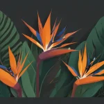 bird of paradise plants db941ff9