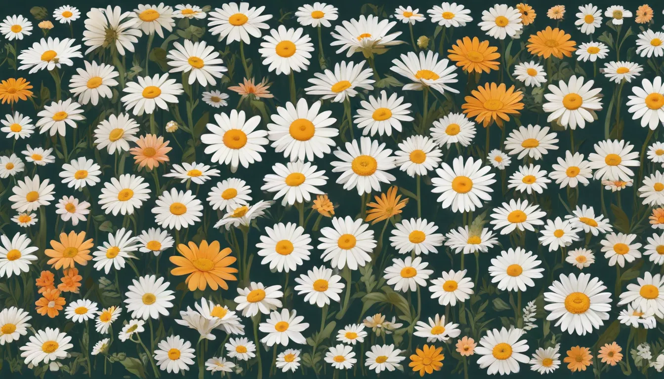 daisy types for gardens 5cca0f87