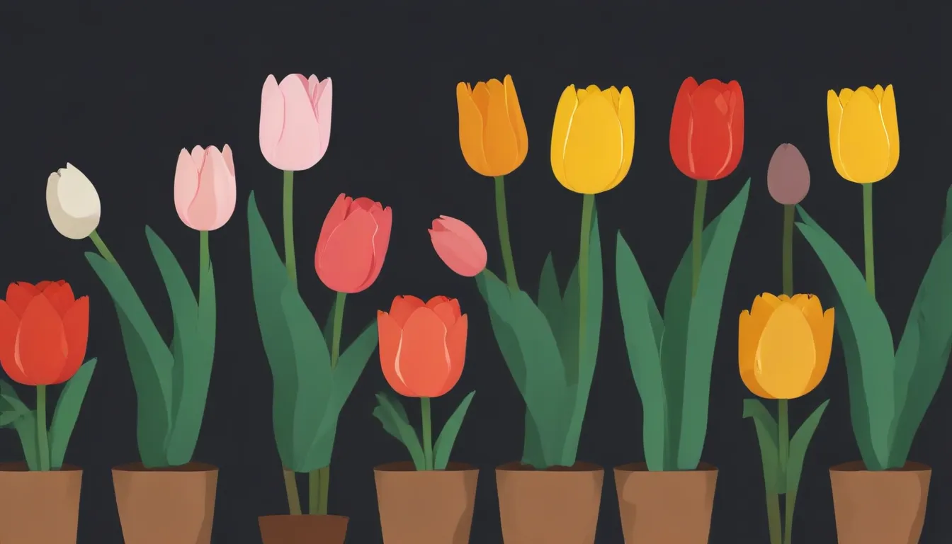 grow tulips that come back b2566793