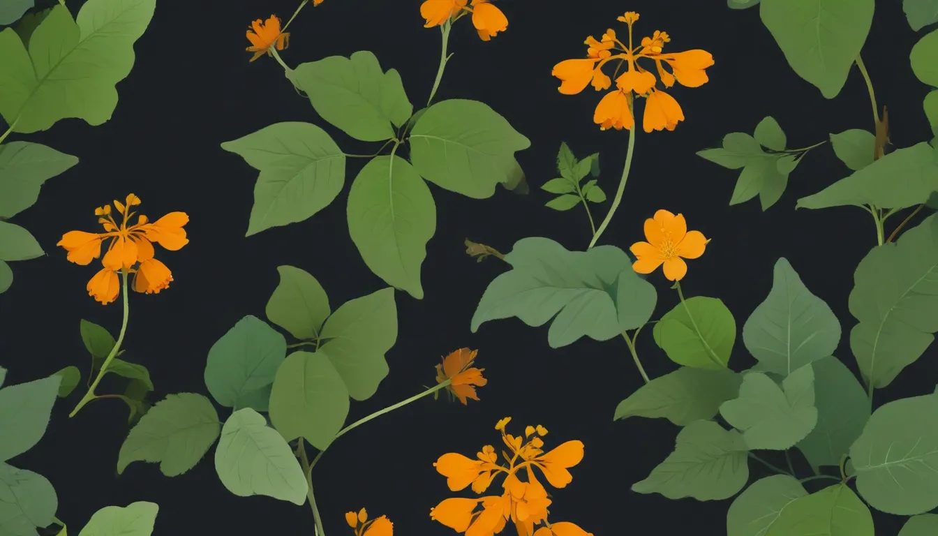 growing jewelweed plants 4bcbbd3d