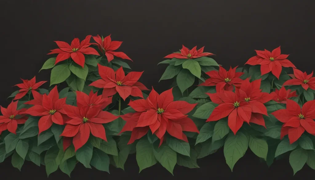 how often to water a poinsettia 633a8f45