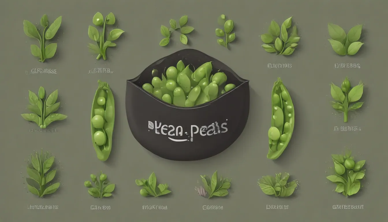 how to grow organic peas 4c0820e0