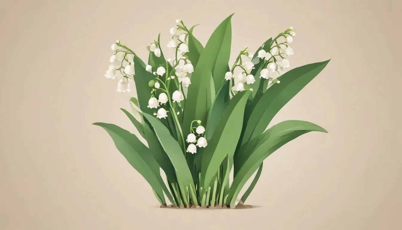 lily of the valley d757b19f