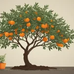 satsuma tree profile 3e45dd51