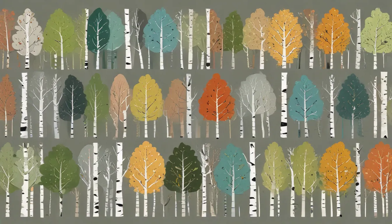 twelve species cultivars of birch trees e816f0cf